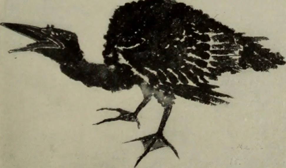 An illustration from International studio, 1897, leaf 138