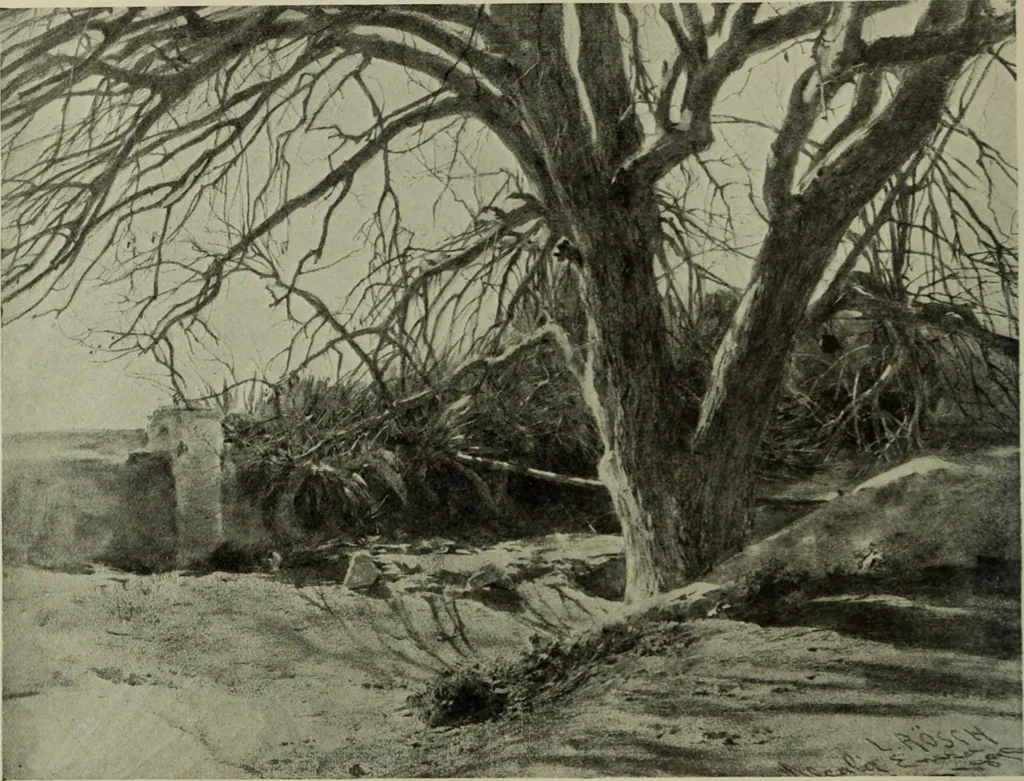 An illustration from International studio, 1897, leaf 211