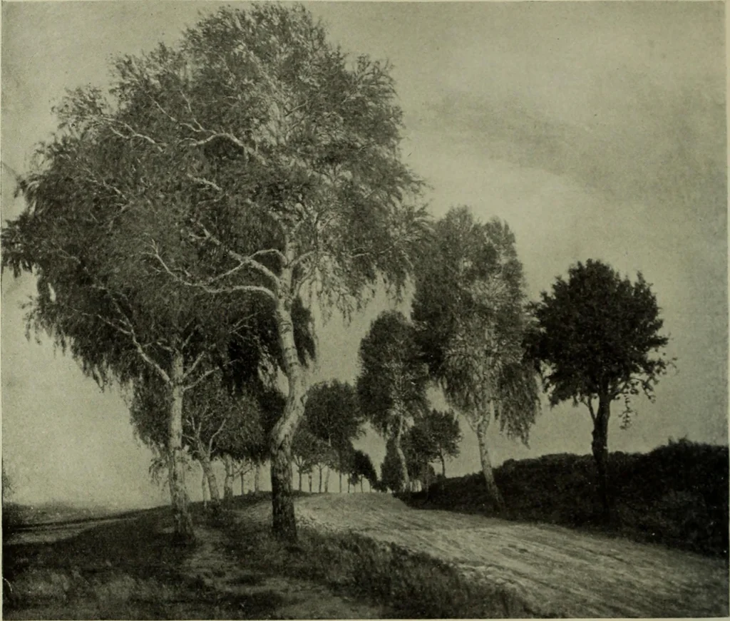 An illustration from International studio, 1897, leaf 213