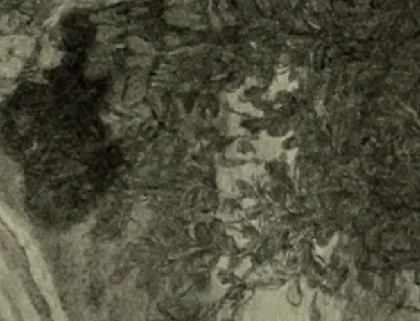 An illustration from International studio, 1897, leaf 230
