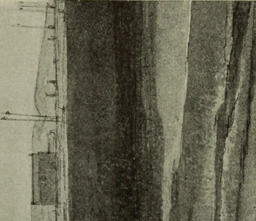 An illustration from International studio, 1897, leaf 240