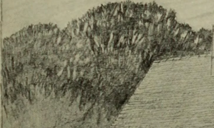 An illustration from International studio, 1897, leaf 268