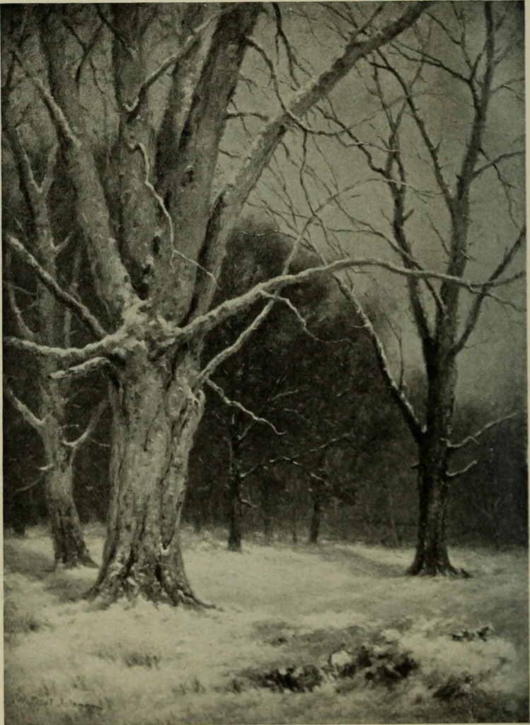 An illustration from International studio, 1897, leaf 367