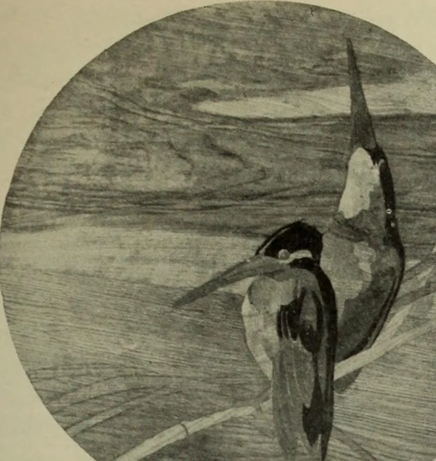 An illustration from International studio, 1897, leaf 368