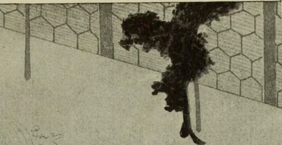 An illustration from International studio, 1897, leaf 386