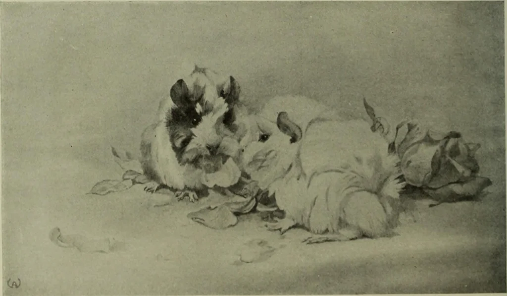 An illustration from International studio, 1897, leaf 443