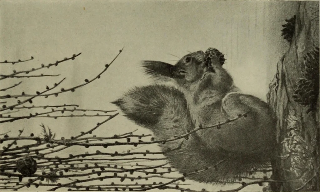 An illustration from International studio, 1897, leaf 444