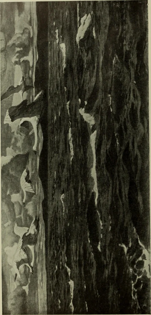 An illustration from International studio, 1897, leaf 461