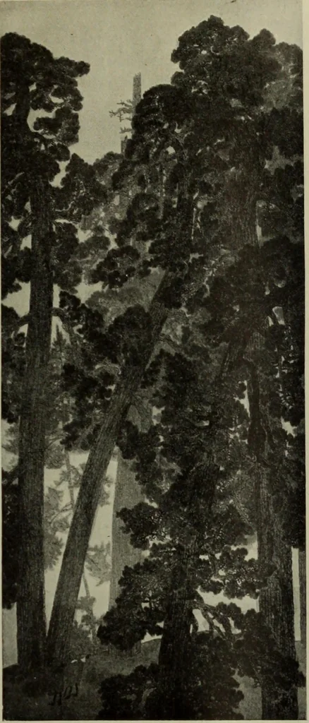 An illustration from International studio, 1897, leaf 466