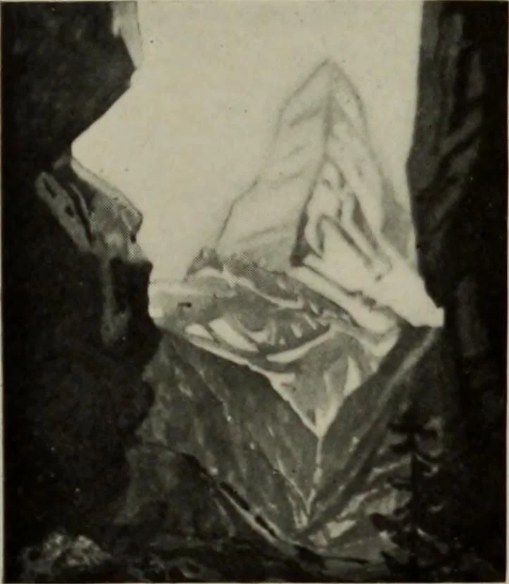 An illustration from International studio, 1897, leaf 58