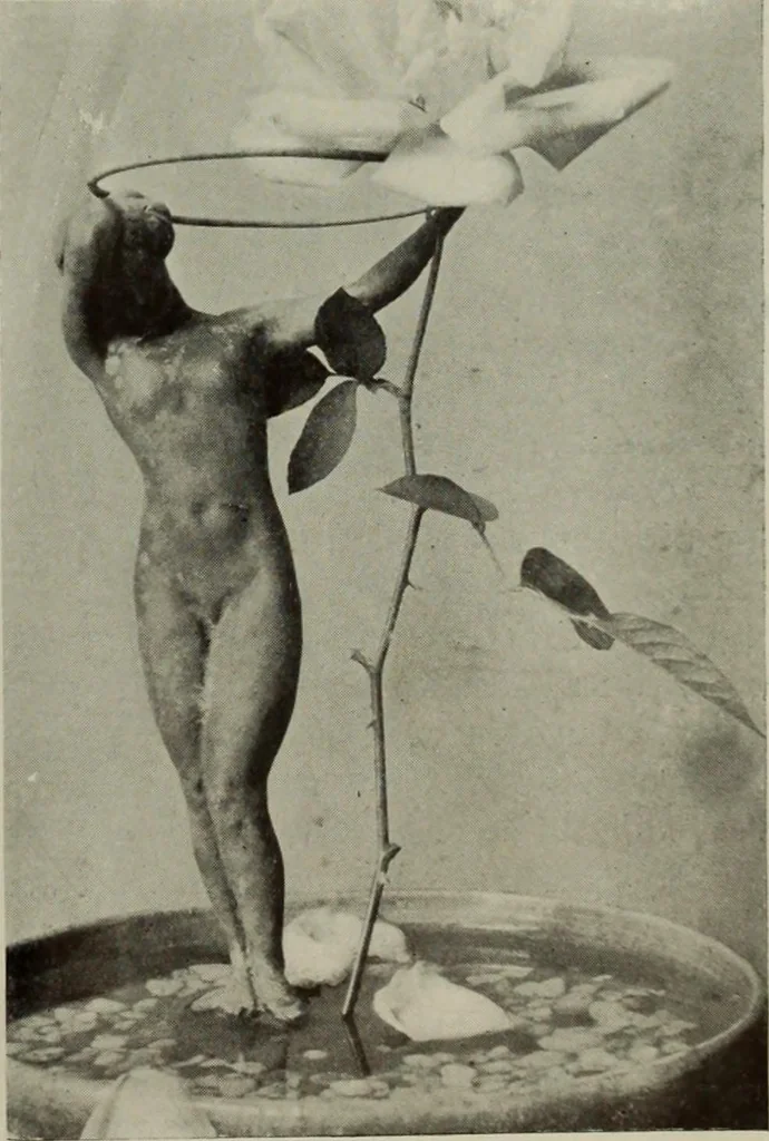 An illustration from International studio, 1897, leaf 72
