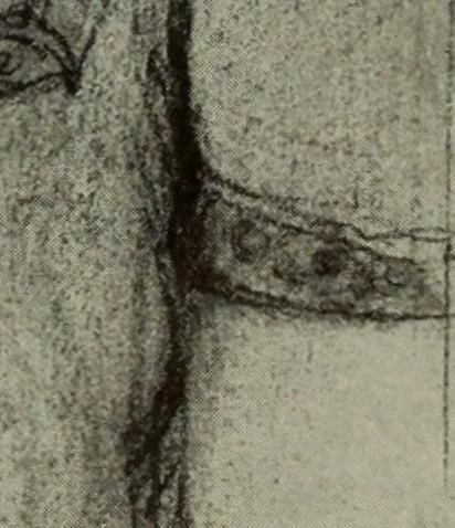 An illustration from International studio, 1897, leaf 88