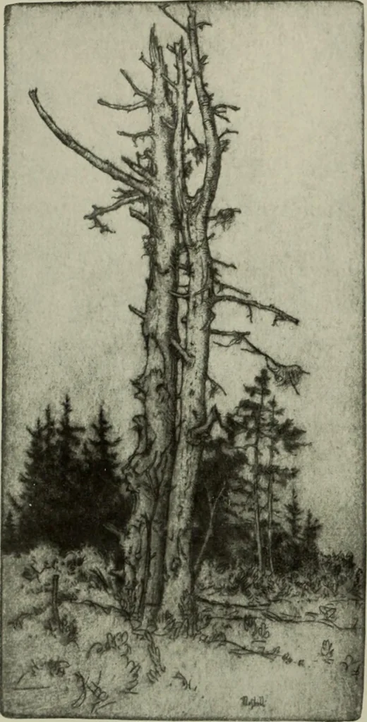 An illustration from International studio, 1897, leaf 93