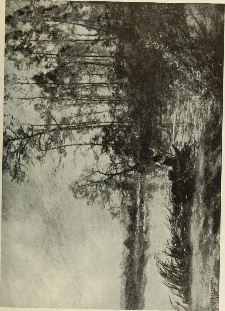 An illustration from International studio, 1897, leaf 150