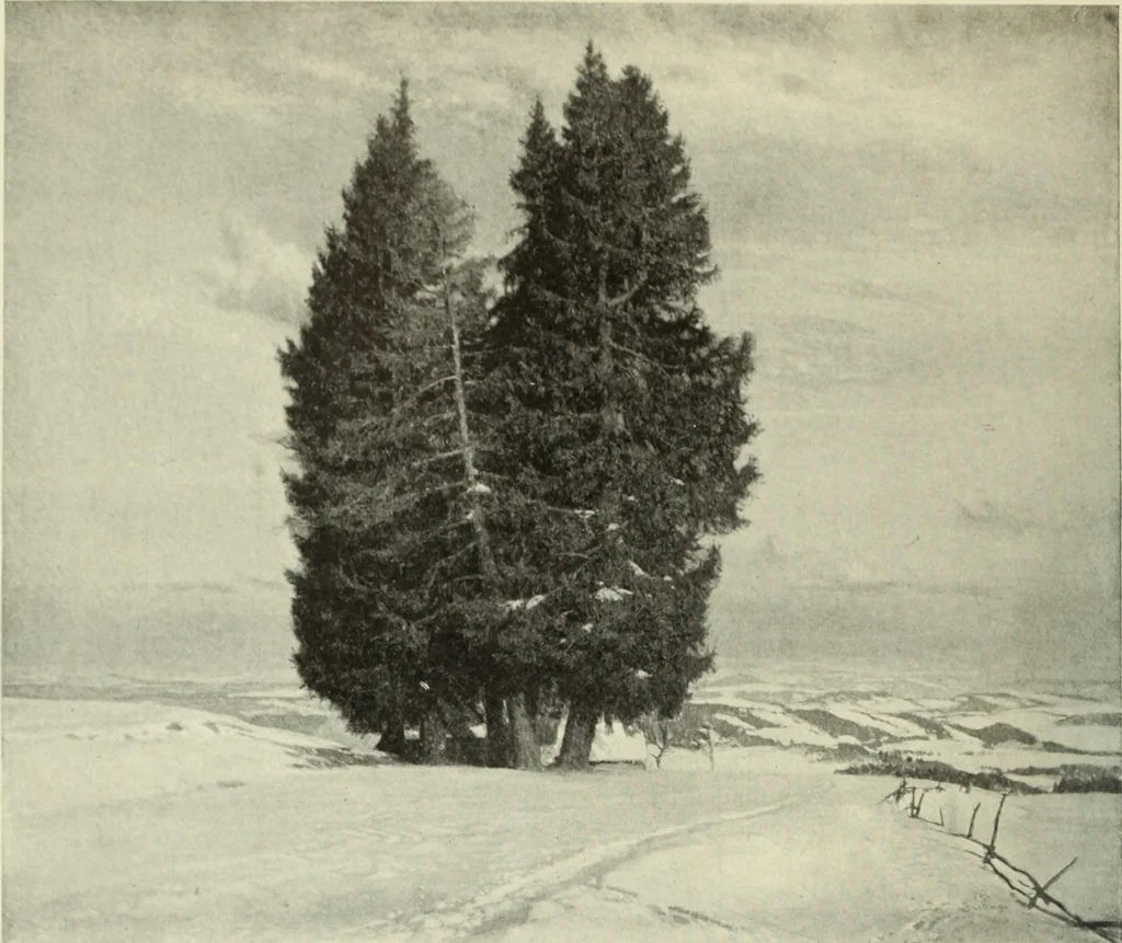 An illustration from International studio, 1897, leaf 211