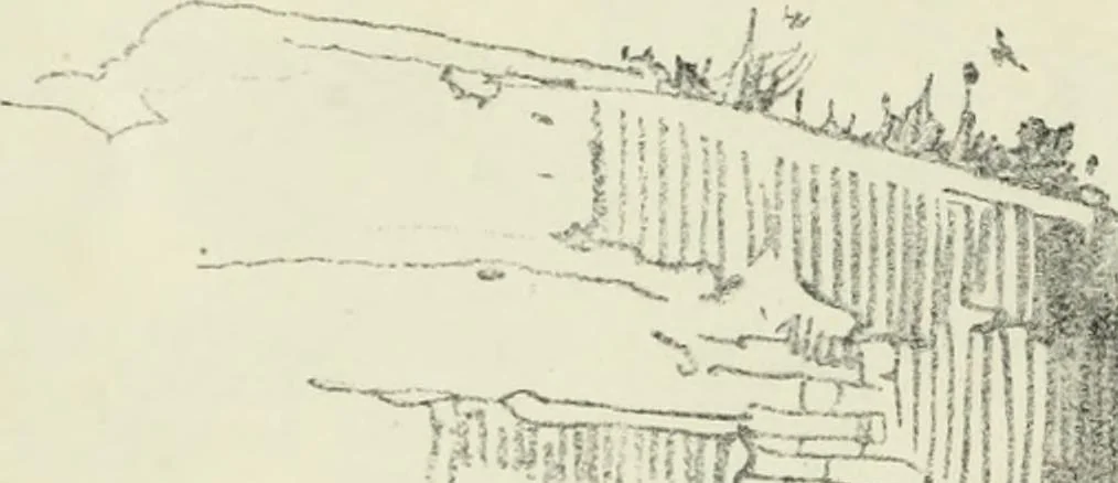An illustration from International studio, 1897, leaf 225