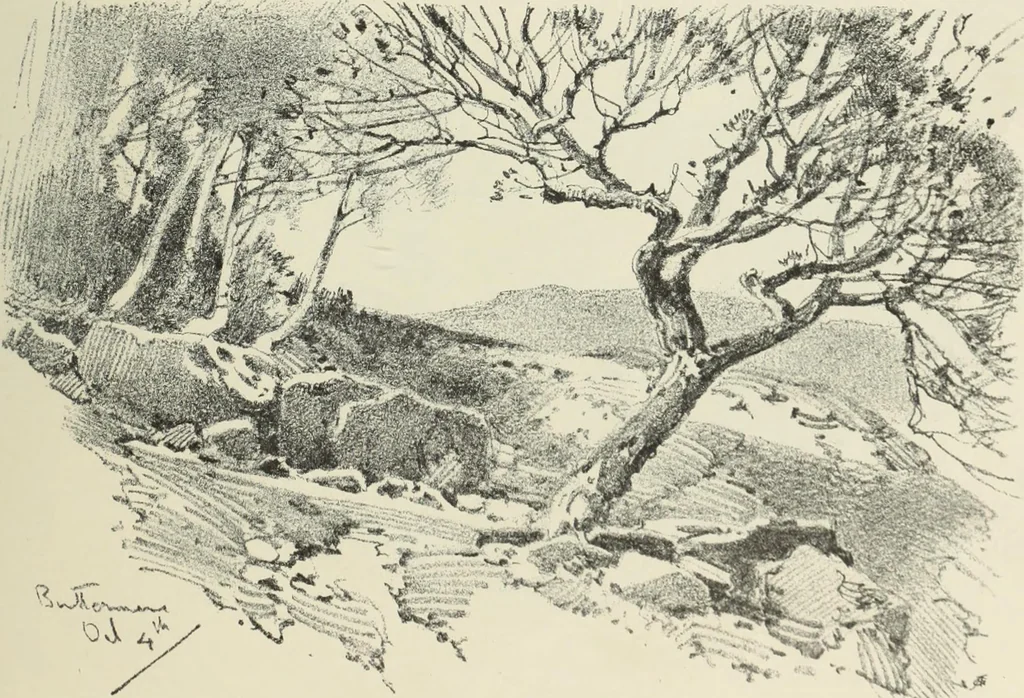 An illustration from International studio, 1897, leaf 226