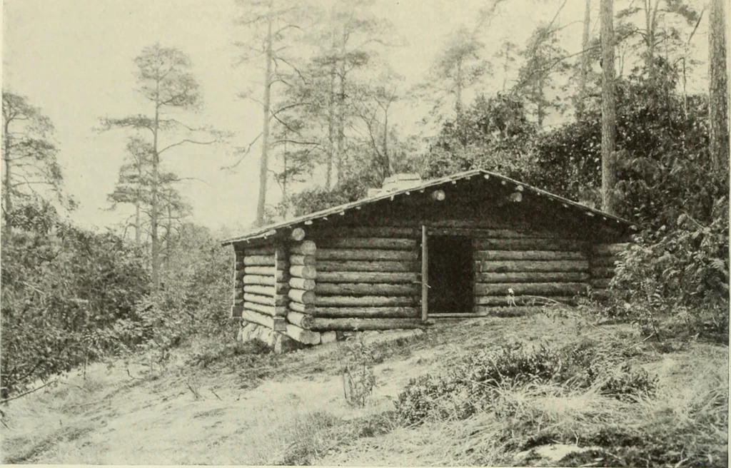 An illustration from International studio, 1897, leaf 313