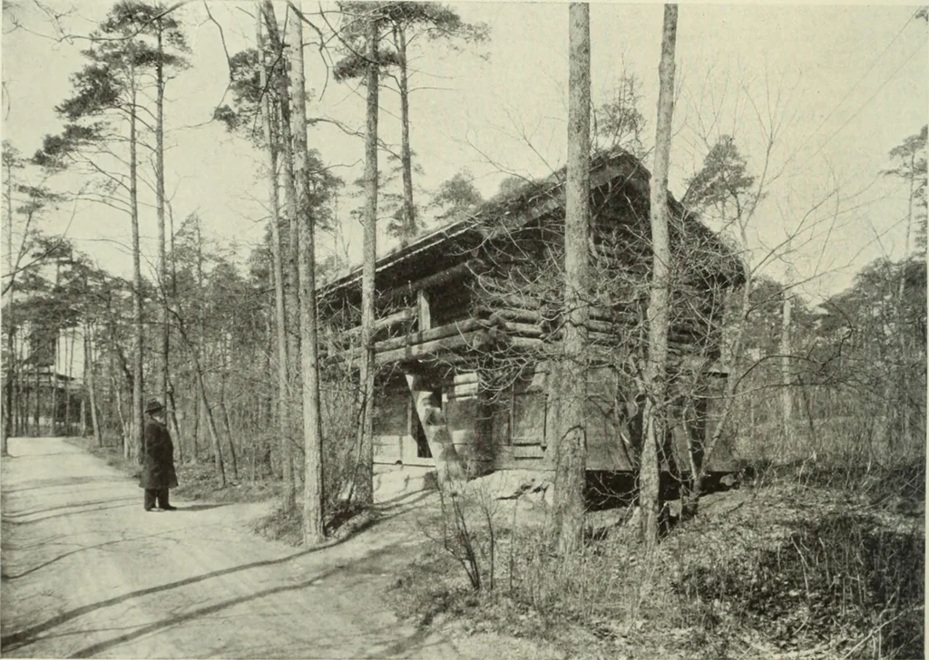 An illustration from International studio, 1897, leaf 313