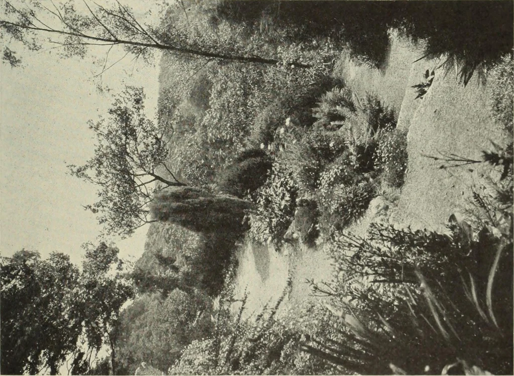 An illustration from International studio, 1897, leaf 366
