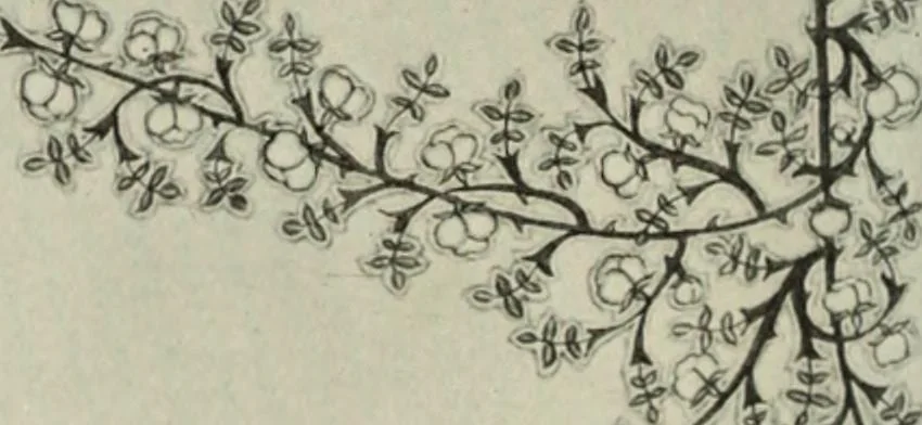 An illustration from International studio, 1897, leaf 397