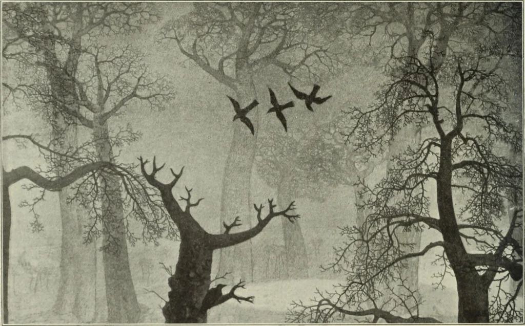 An illustration from International studio, 1897, leaf 191