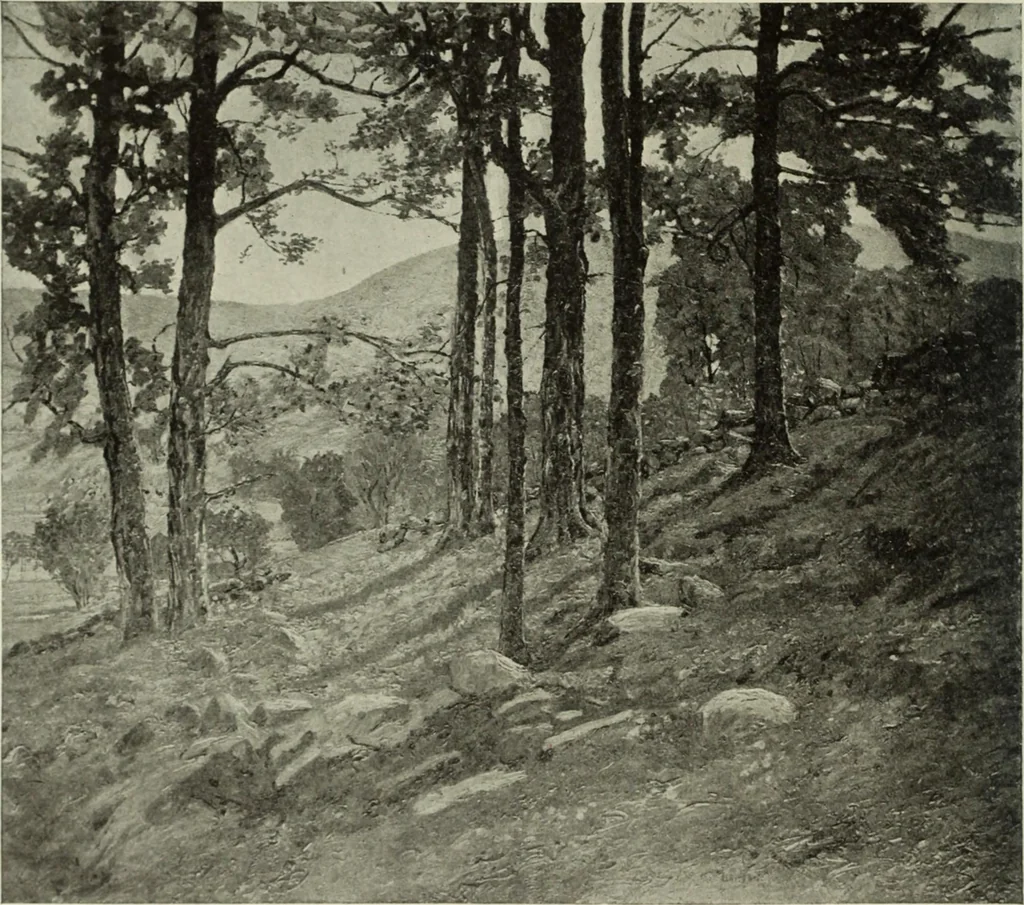 An illustration from International studio, 1897, leaf 215