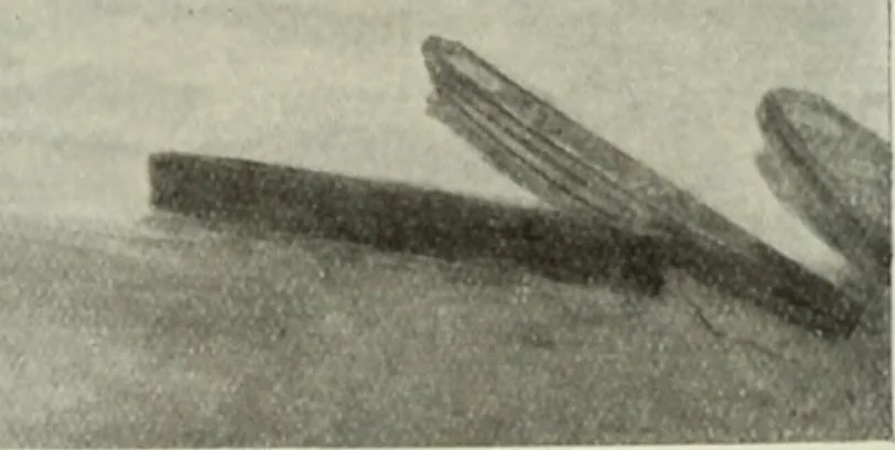 An illustration from International studio, 1897, leaf 233