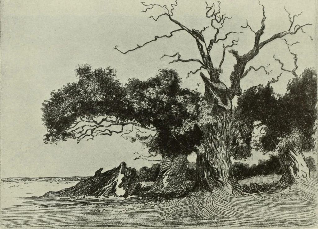 An illustration from International studio, 1897, leaf 347