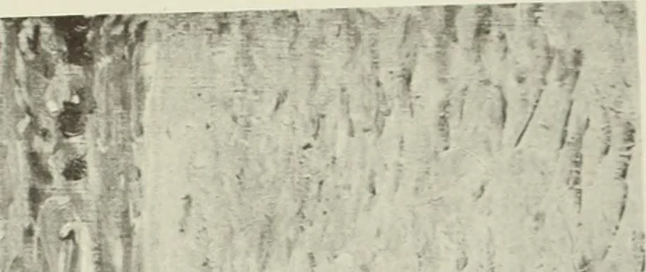An illustration from International studio, 1897, leaf 350