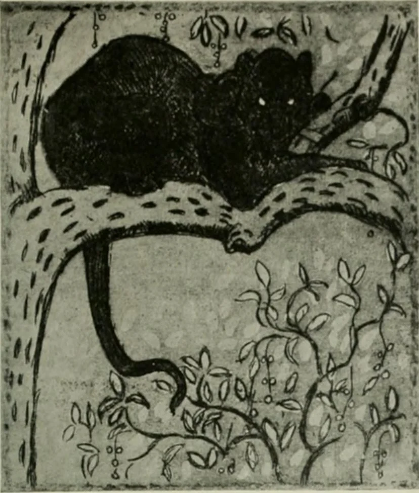 An illustration from International studio, 1897, leaf 294
