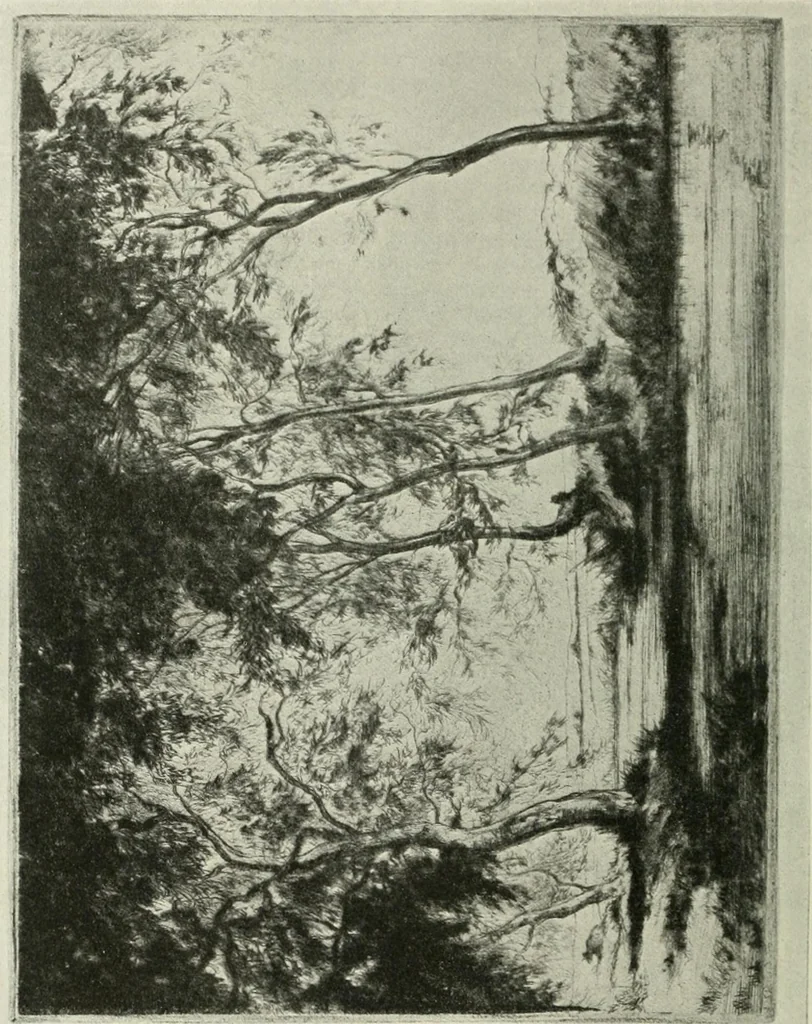 An illustration from International studio, 1897, leaf 379