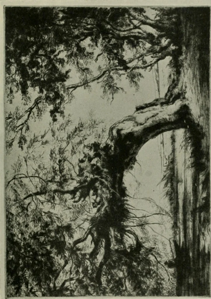 An illustration from International studio, 1897, leaf 380