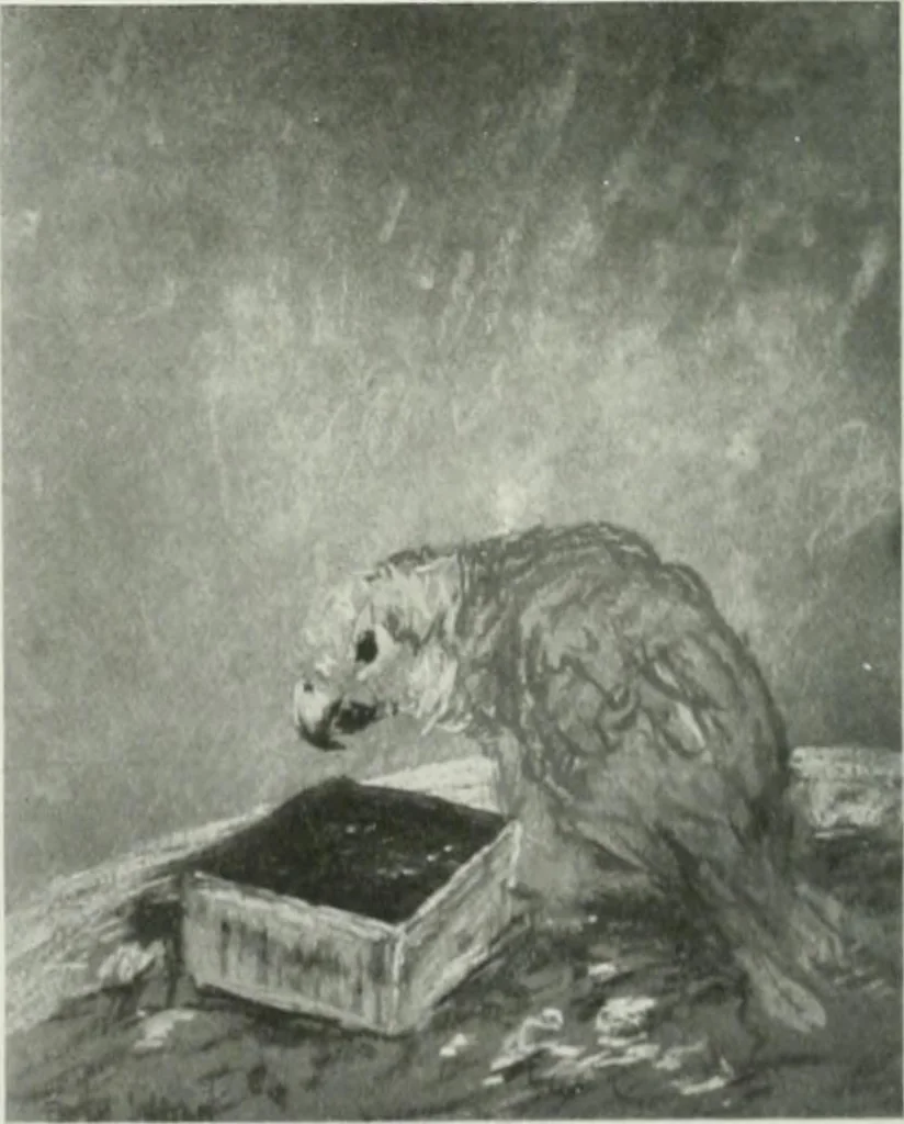 An illustration from International studio, 1897, leaf 101