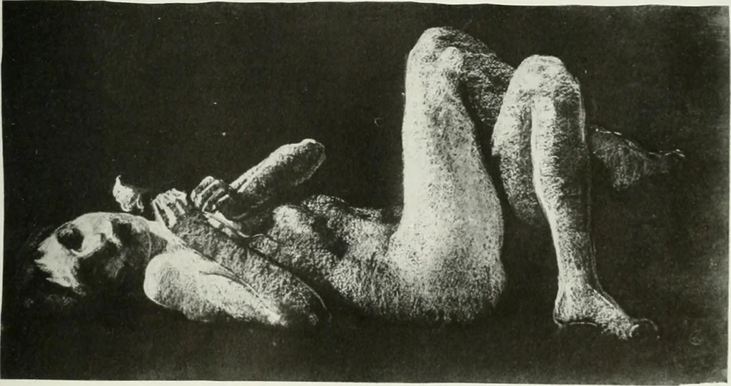 An illustration from International studio, 1897, leaf 102