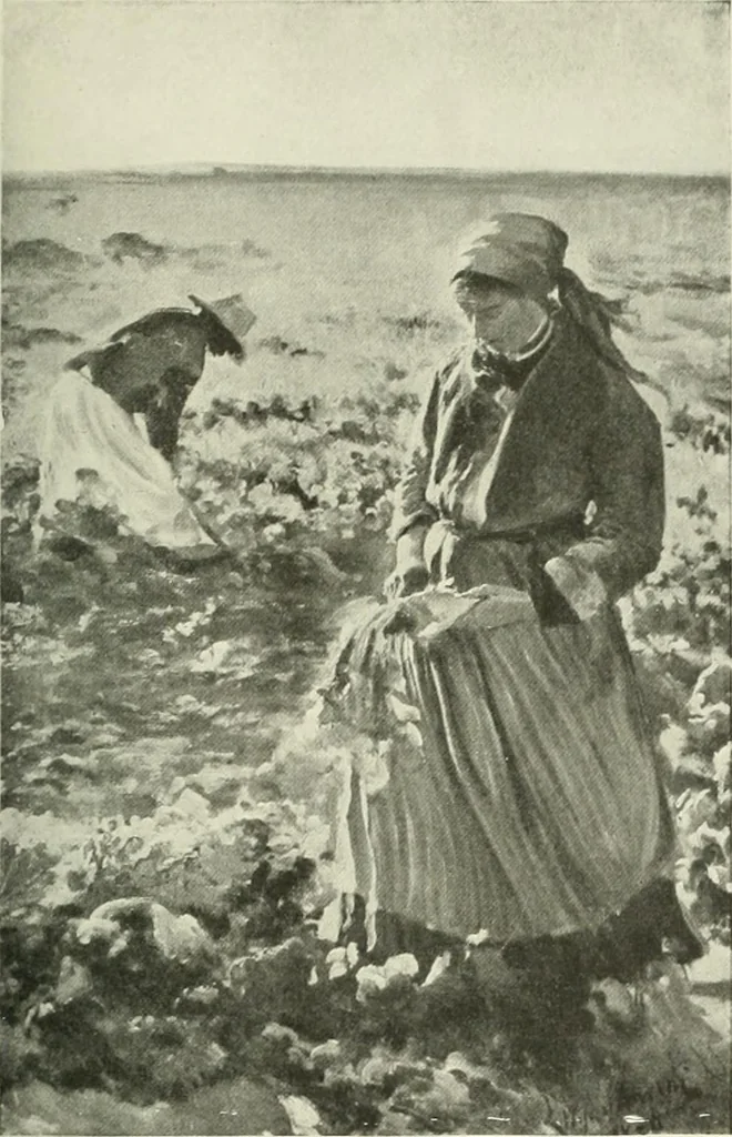 An illustration from International studio, 1897, leaf 218