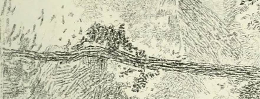 An illustration from International studio, 1897, leaf 232