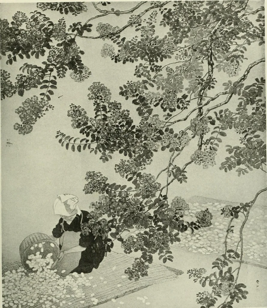 An illustration from International studio, 1897, leaf 312