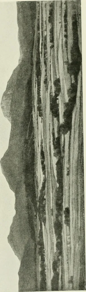 An illustration from International studio, 1897, leaf 376