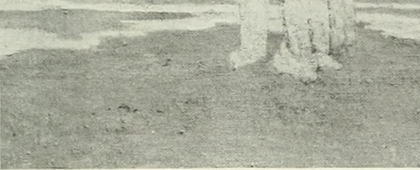 An illustration from International studio, 1897, leaf 90