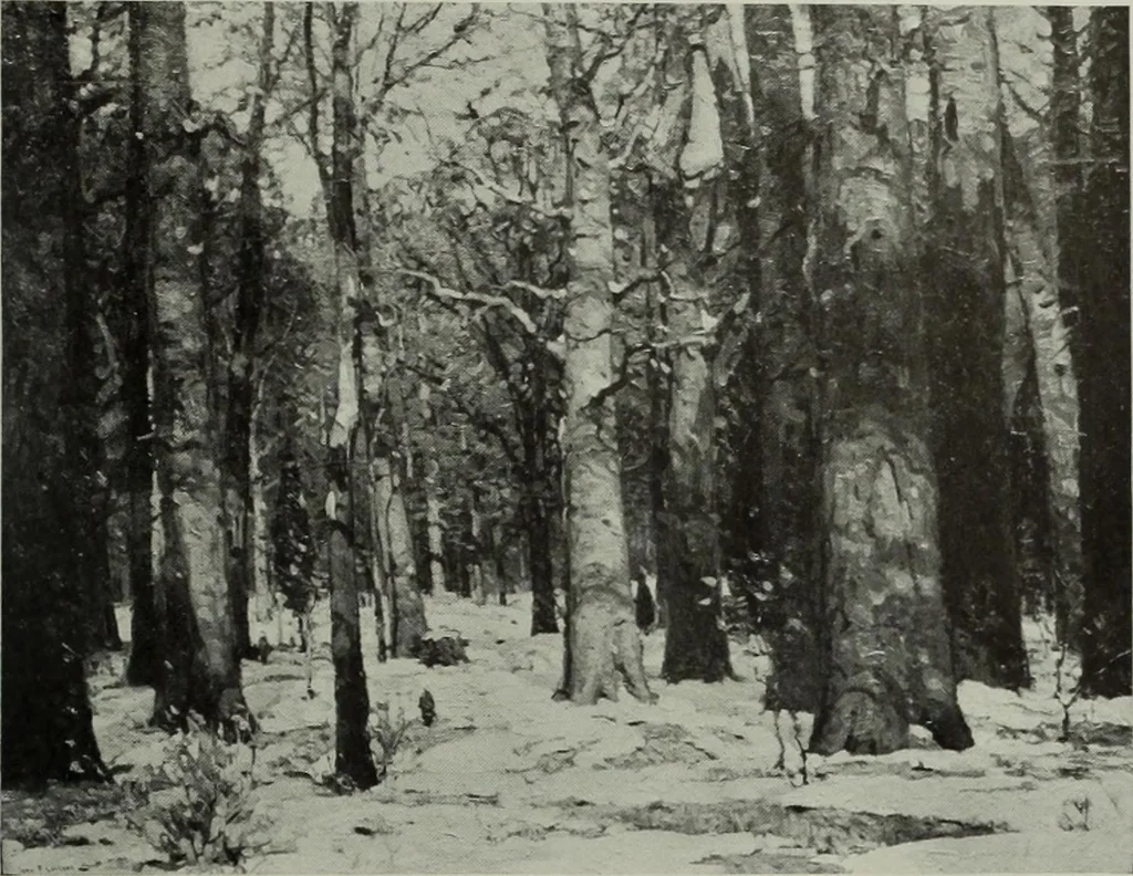 An illustration from International studio, 1897, leaf 100