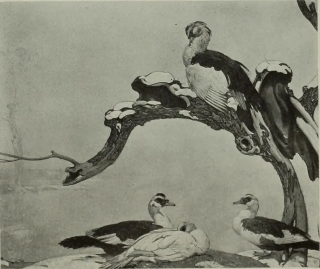 An illustration from International studio, 1897, leaf 100