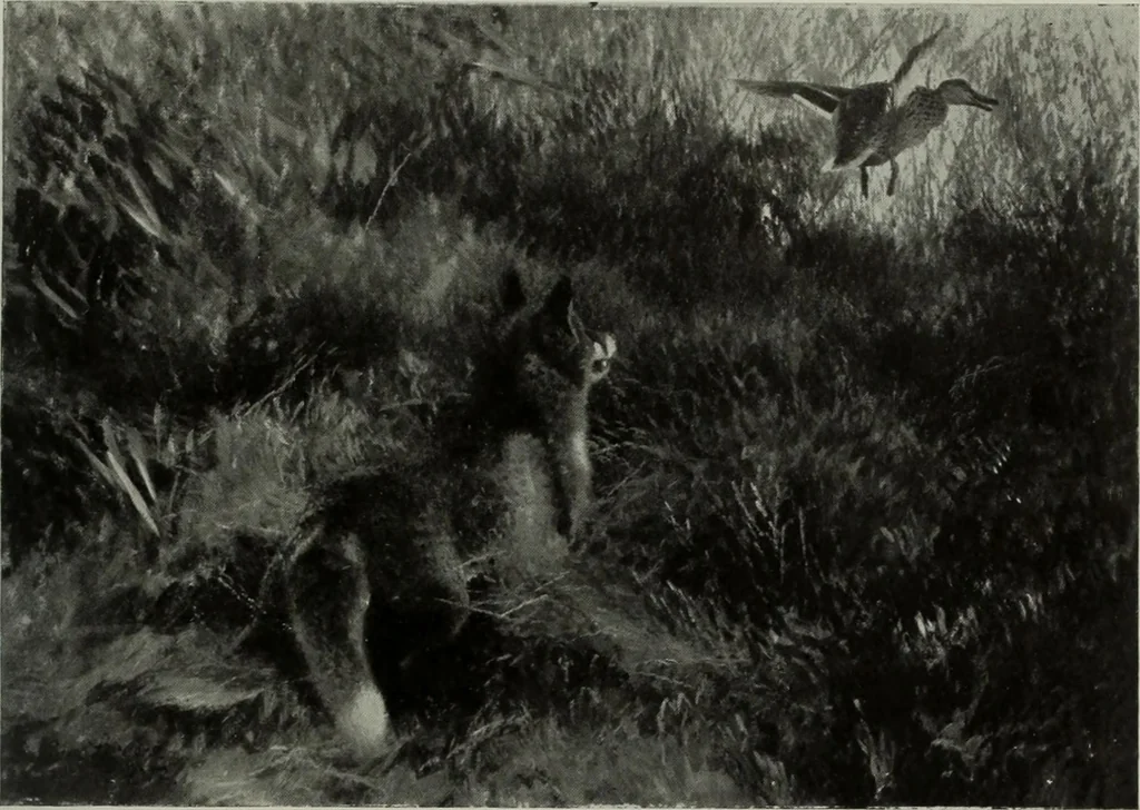 An illustration from International studio, 1897, leaf 134