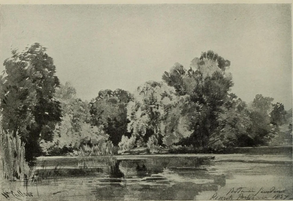 An illustration from International studio, 1897, leaf 155