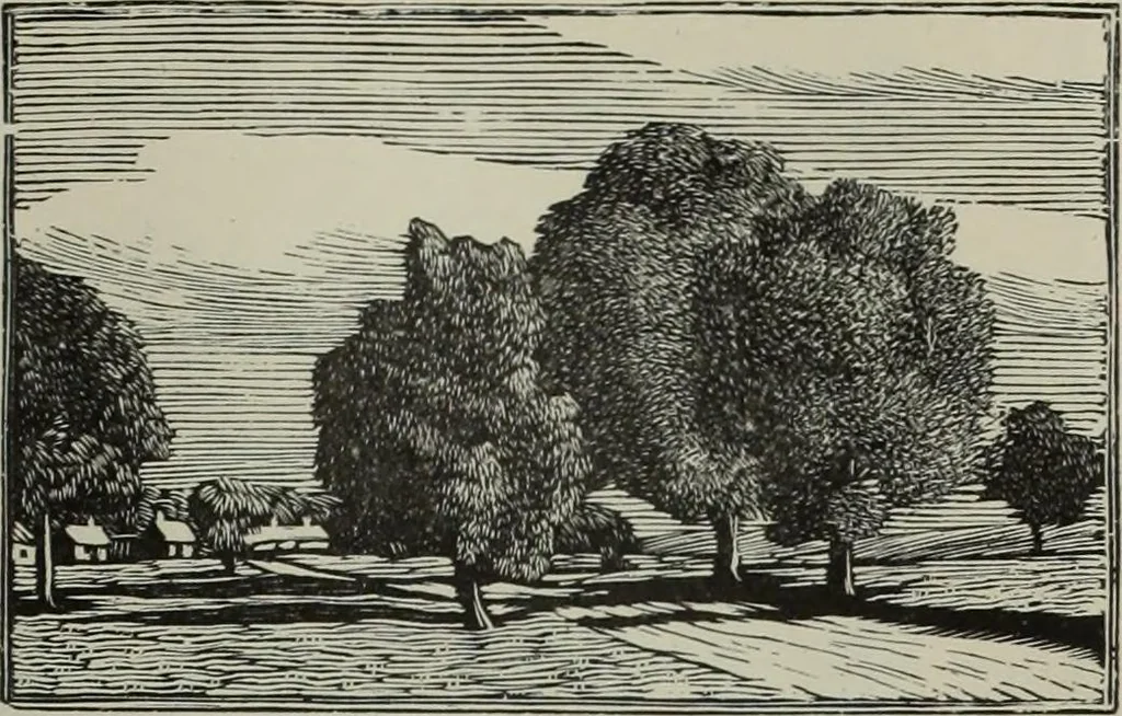 An illustration from International studio, 1897, leaf 192