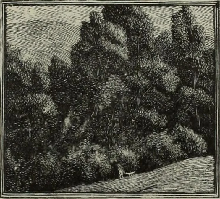 An illustration from International studio, 1897, leaf 192