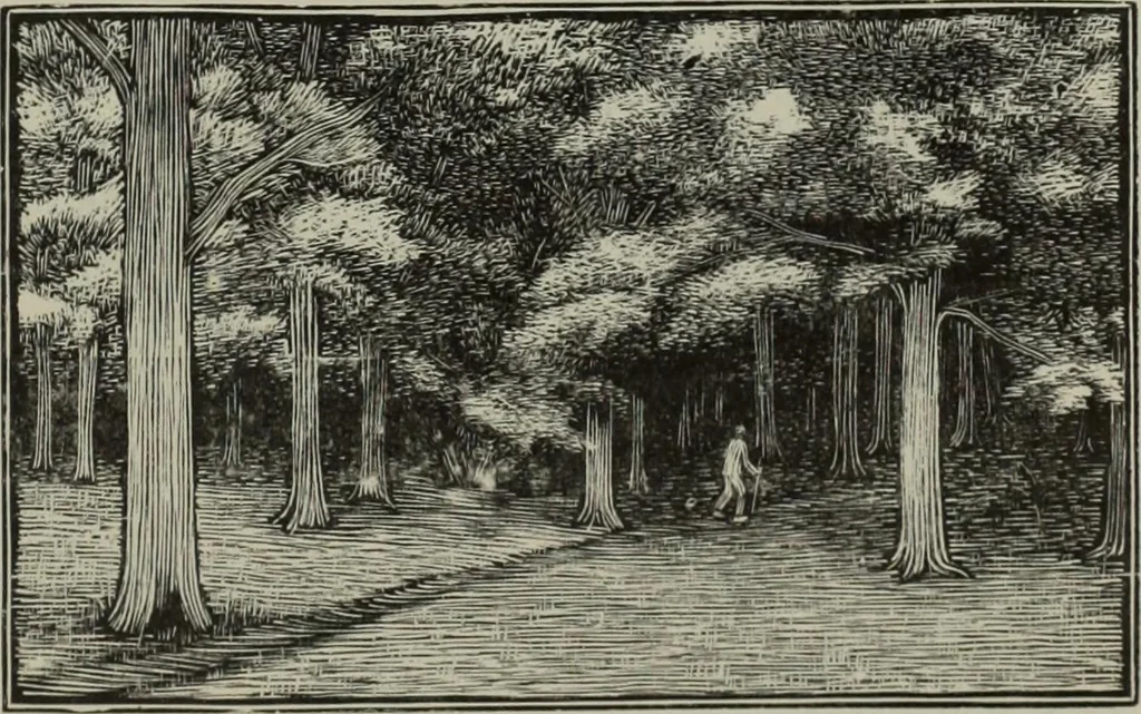 An illustration from International studio, 1897, leaf 192
