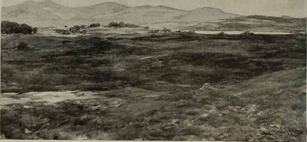 An illustration from International studio, 1897, leaf 203