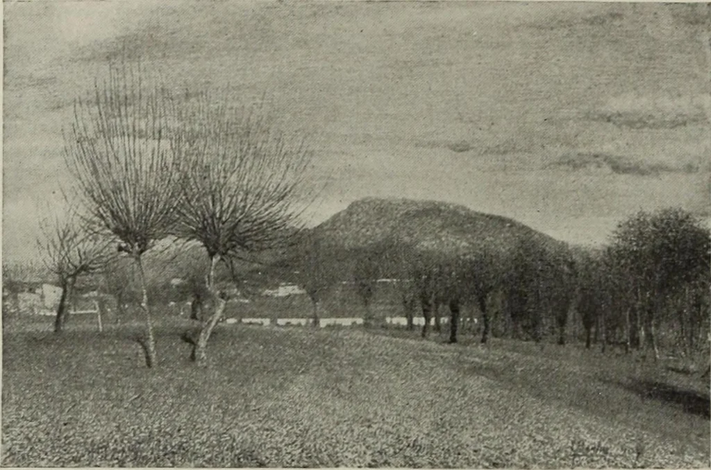 An illustration from International studio, 1897, leaf 235