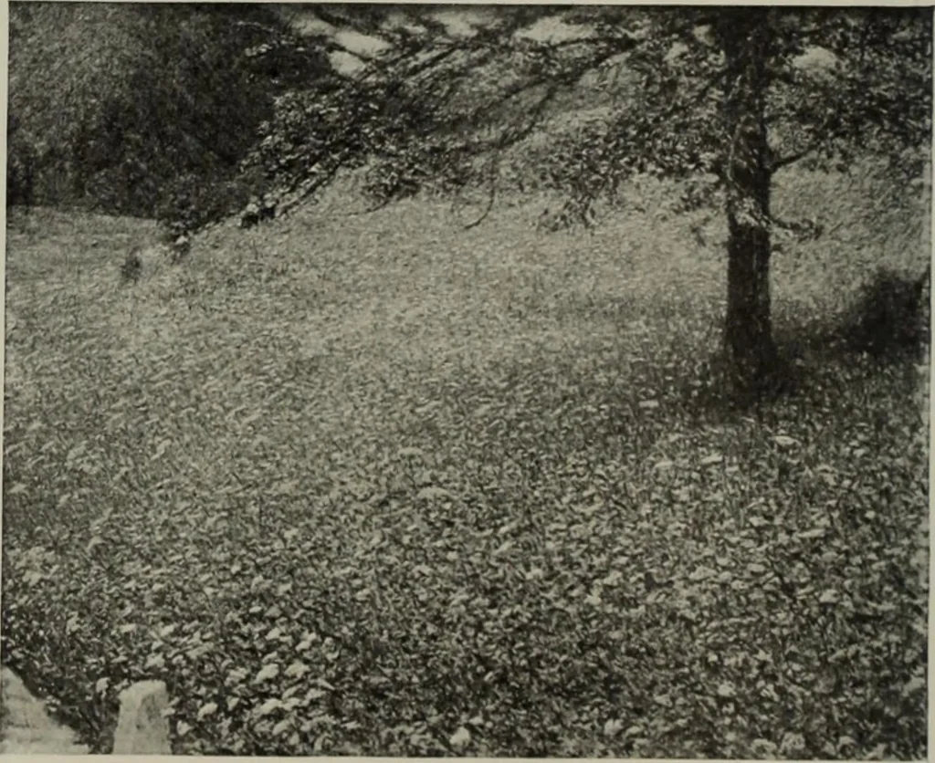 An illustration from International studio, 1897, leaf 235